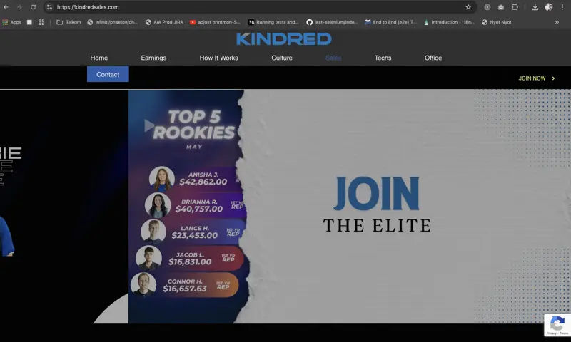 Kindredpest IT Solutions